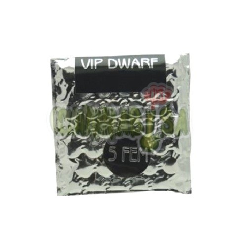 Auto Vip Dwarf x 5 fem 