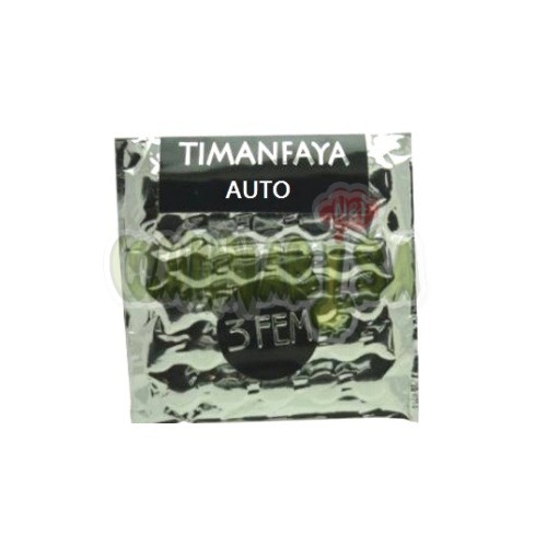 Auto Timanfaya x 3 fem 