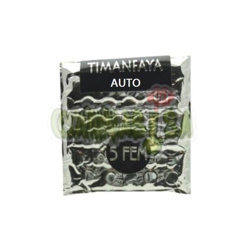 Auto Timanfaya x 5 fem 