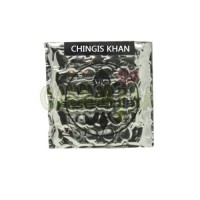 CHINGIS KHAN x 5 fem 