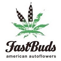 FastBuds