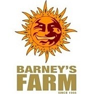 Barneys Farm 