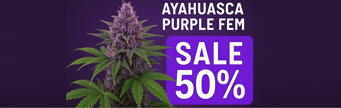 ayahuasca-purple-barneys-farm-3