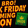 black-friday-cannabisa-net-2025