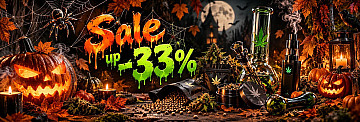halloween-md-26(1)