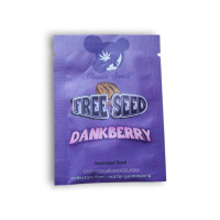 Dankberry fem Anesia seeds