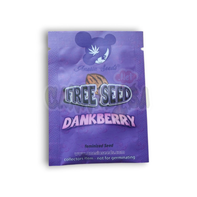 Dankberry fem Anesia seeds