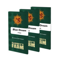 Blue Dream