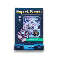 Expert Gorilla Auto 3+2