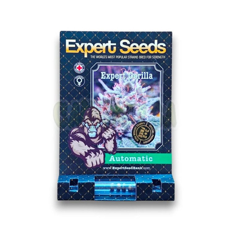 Expert Gorilla Auto 3+2