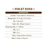 Violet Kush Seeds 15+8