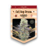 Cali Bay Dream 15+8