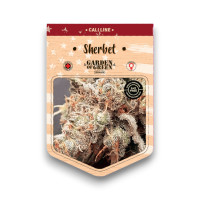 Sherbet Seeds 15+8