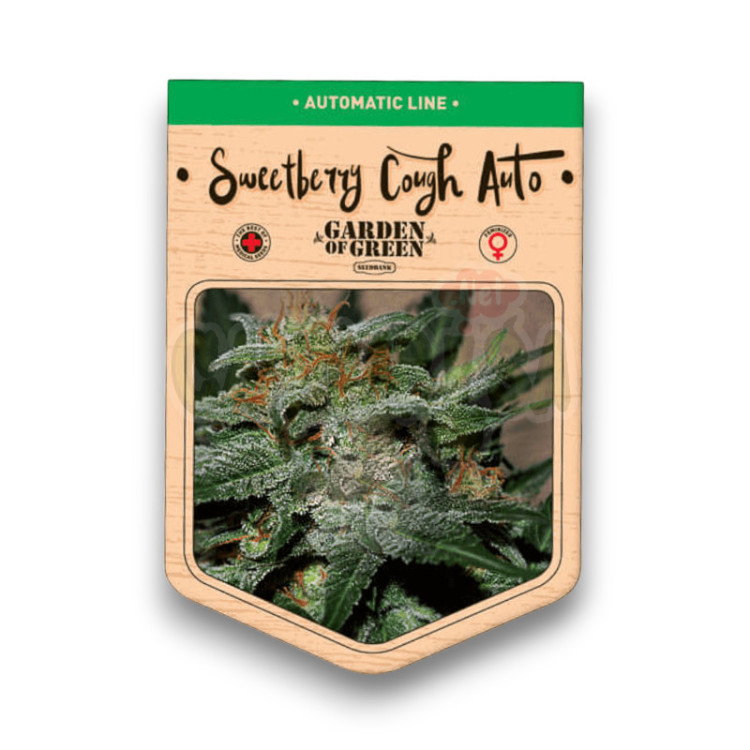 Sweetberry Cough Auto 5+3