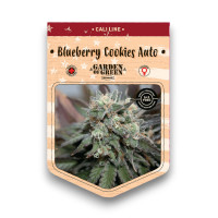 Blueberry Cookies Auto 15+8