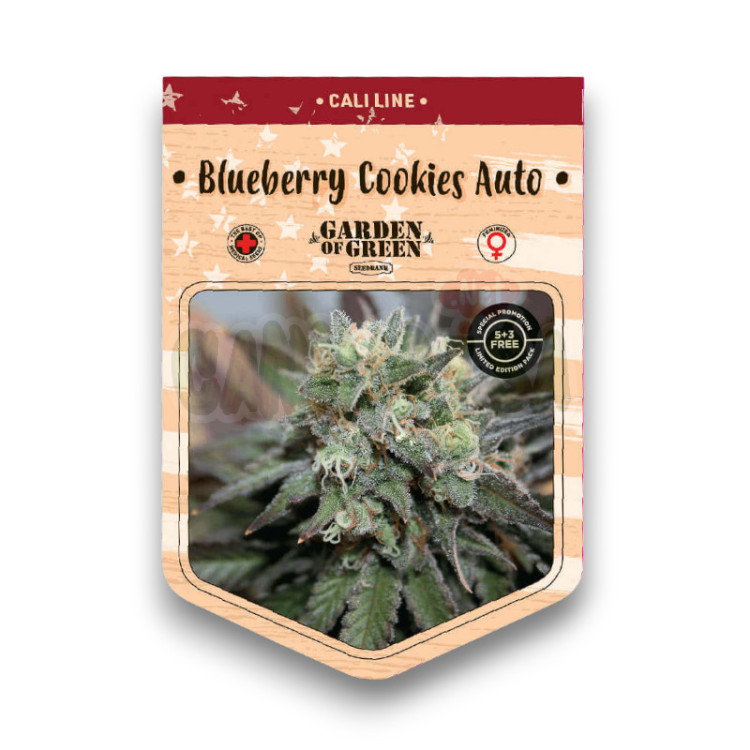 Blueberry Cookies Auto 15+8