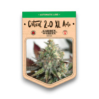 Critical 2.0 XL Auto