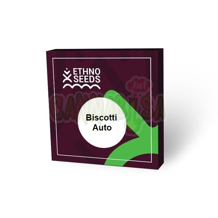 Biscotti Auto