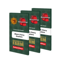 Black Cherry Gushers