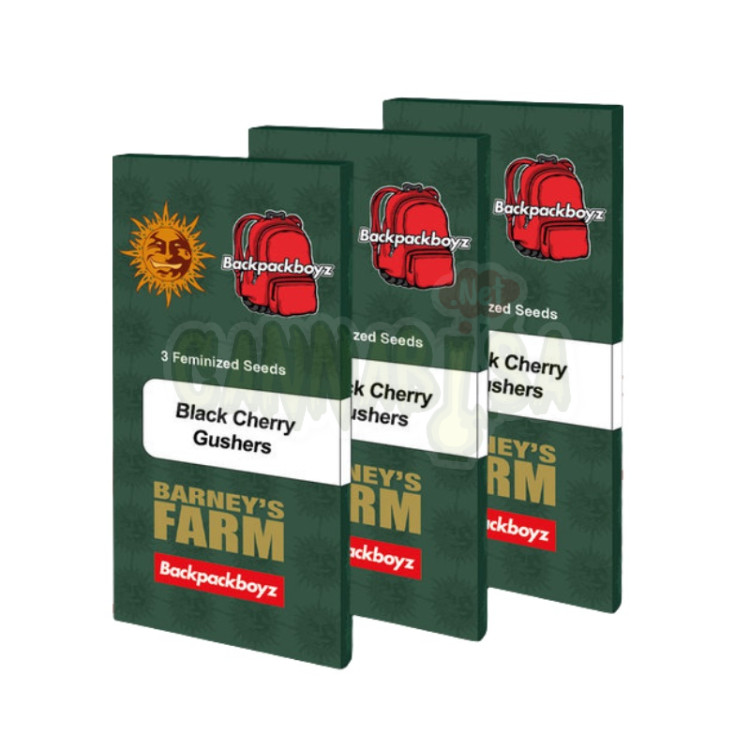 Black Cherry Gushers