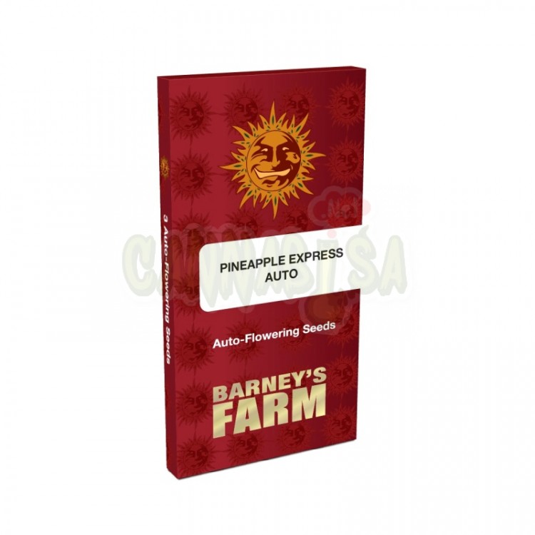 Pineapple Express Auto купить, Pineapple Express Auto цены