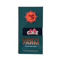 Jelly Cake Jelly Cake