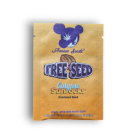 Calypso Sunrock fem