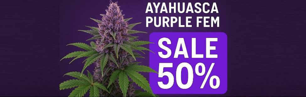 -50% на семена Ayahuasca Purple fem