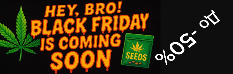 Hey, Bro! Black Friday Is Coming Soon — готовься, будет жарко! 🔥